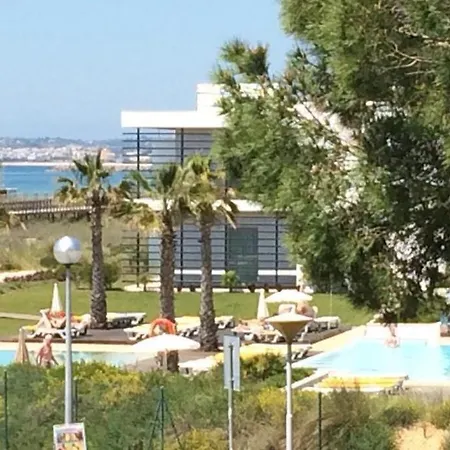 Papirus Daire Alvor