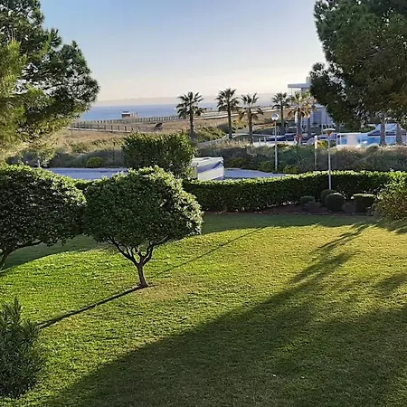 Papirus *